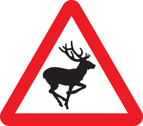 warning sign wild animals