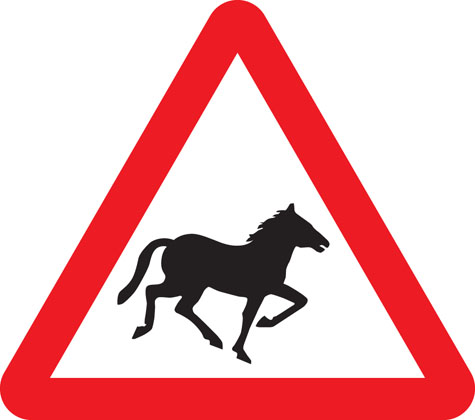 warning sign wild horses